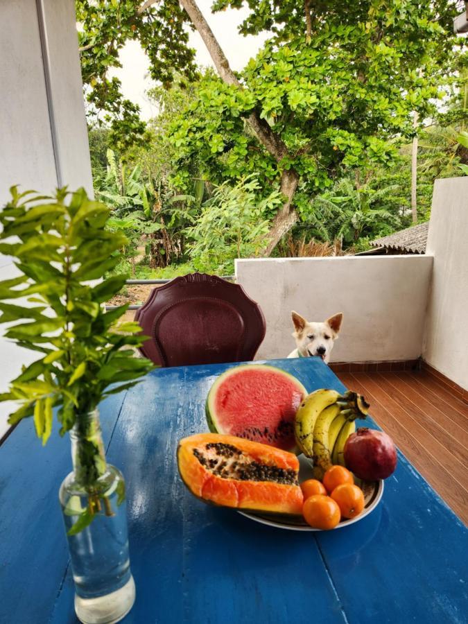 Apartamento King Coco House Dikwella Sur Exterior foto